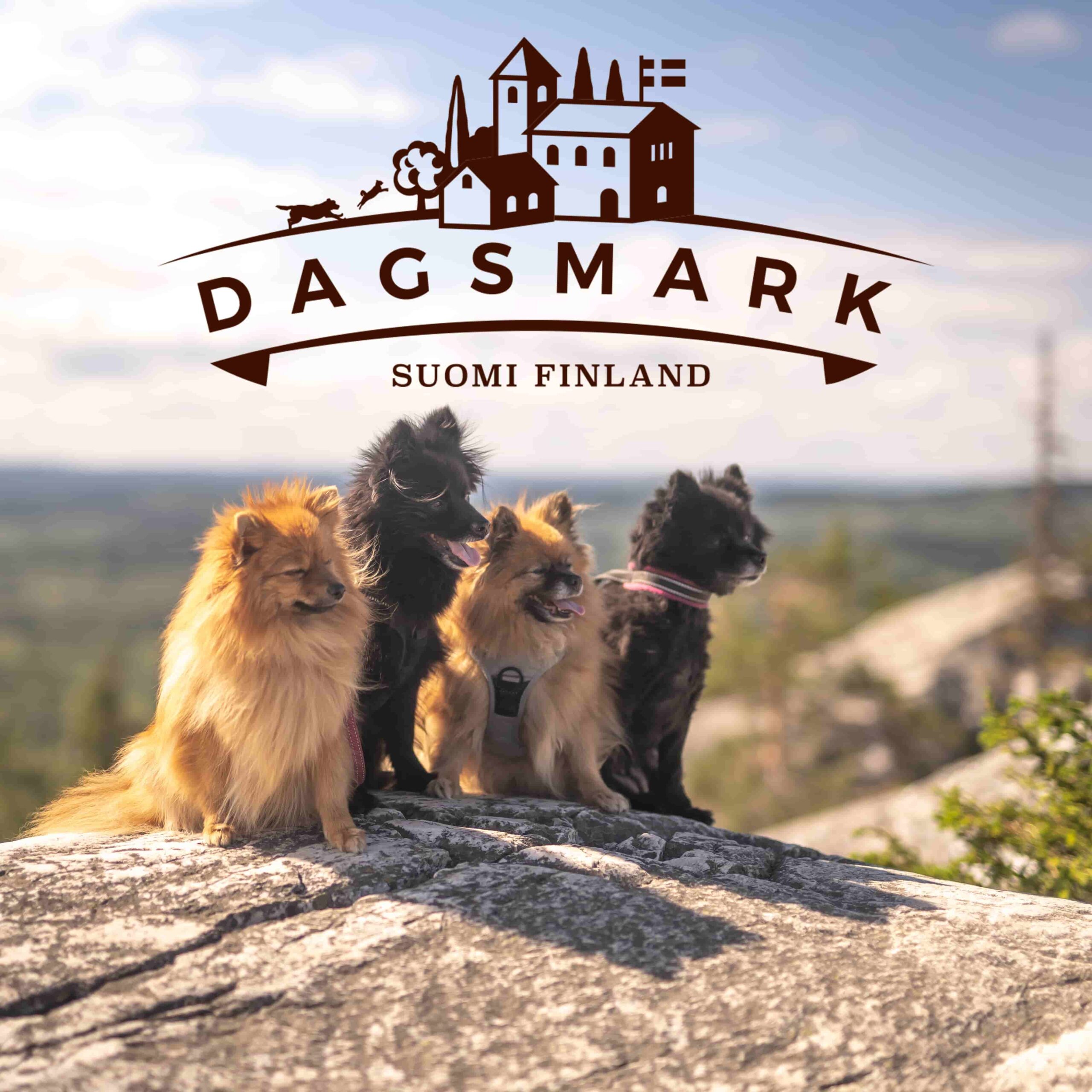 Dagsmark Petfood