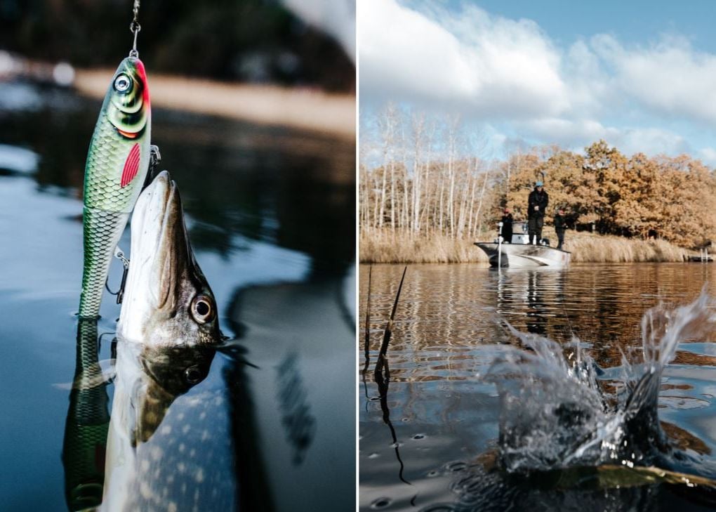 Rapala tuottaa luontoelämyksiä