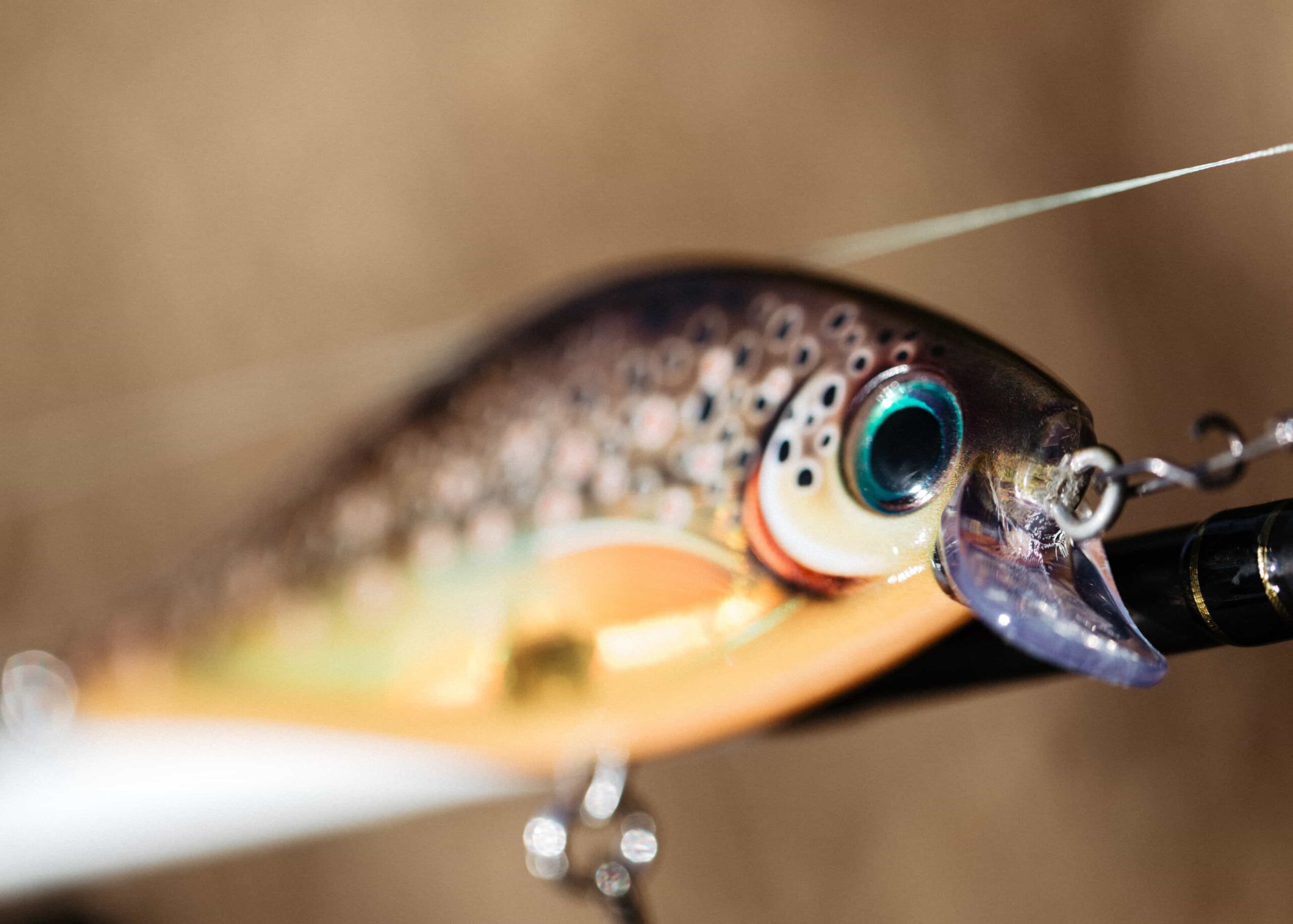 Rapala_SSDR16_TRL